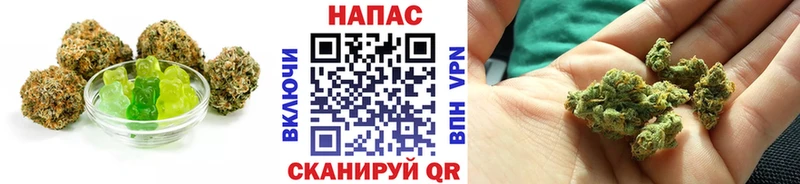 что такое   Елабуга  Canna-Cookies конопля 