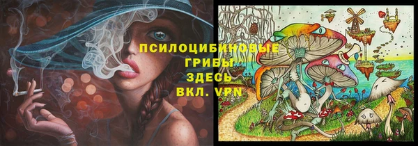 ПСИЛОЦИБИНОВЫЕ ГРИБЫ Белокуриха
